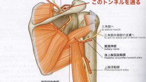 絞扼性末梢神経障害について